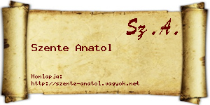Szente Anatol névjegykártya